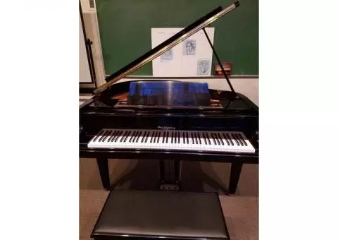 Altenburg Piano